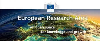 1. OVERVIEW Minimise the Fragmentation of Knowledge Maximise European Limited Resources High