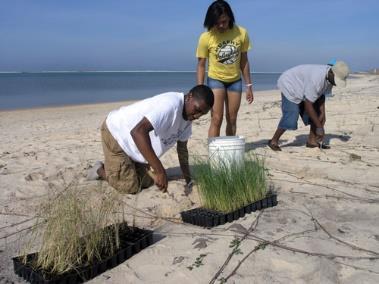 PROGRAMS GecoServ Harte Research Institute NOAA Office for Coastal & EPA Gulf of Mexico Gulf of Mexico Master Mapping Plan Emergent Wetlands Status and Trends Report SeaGrass Status and Trends in the