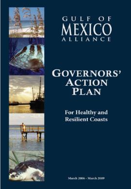 Our mission is to significantly increase regional collaboration to enhance the environmental and economic health of the Gulf of Mexico.