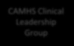 alignment Critical Care Clinical Leadership Group Primary Care