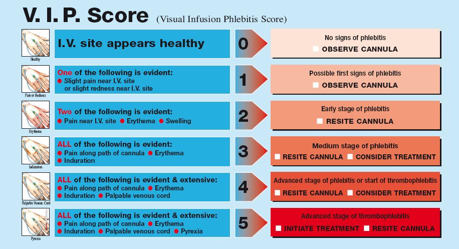 APPENDIX 9: Visual Infusion Phlebitis
