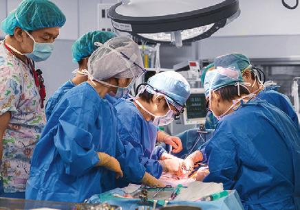 Safe anesthesia during transplantation surgery and other interventions Japan s ageing population represents a challenge to all branches of medicine.
