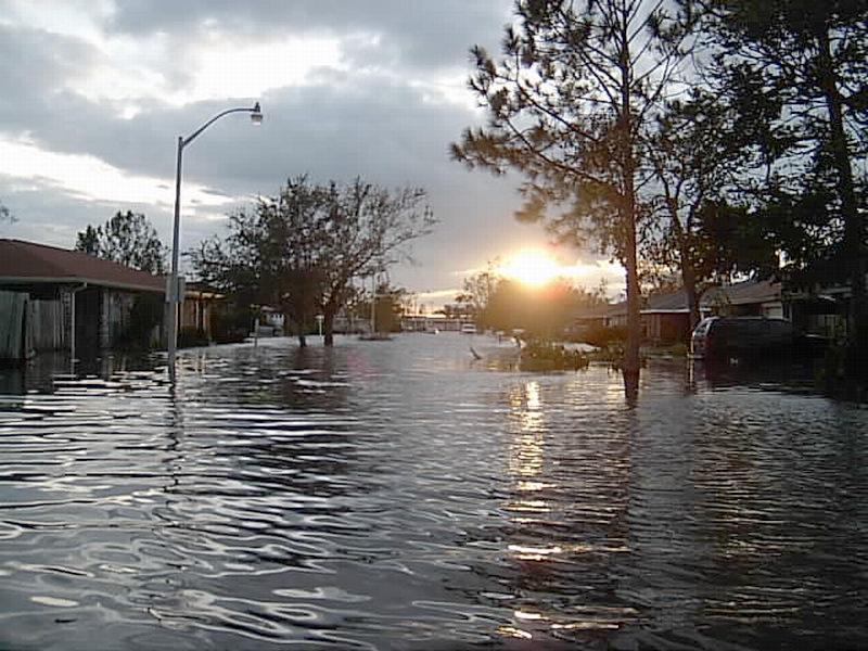 Hurricane Katrina The federal health