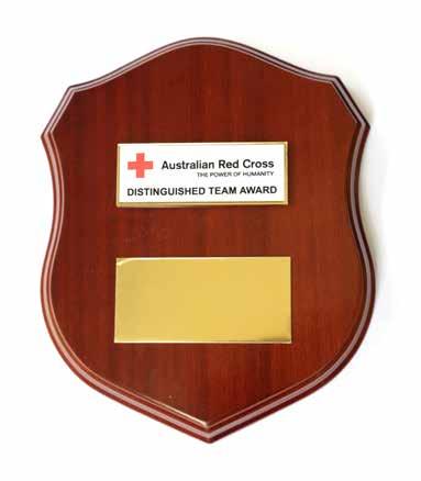 DISTINGUISHED TEAM AWARD This award recognises outstanding service to Australian Red Cross by a team of people (members, volunteers or staff) where it is more appropriate to grant the award to a