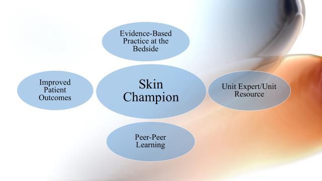 d) Education for Skin Champions