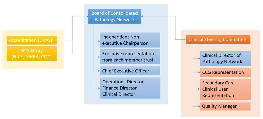 3. Governance structure The clinical governance structure should be appropriately equipped to deliver the services accountable to it (see Section 2).