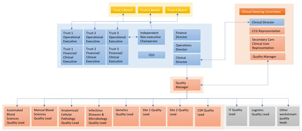 Figure 5: Full clinical governance
