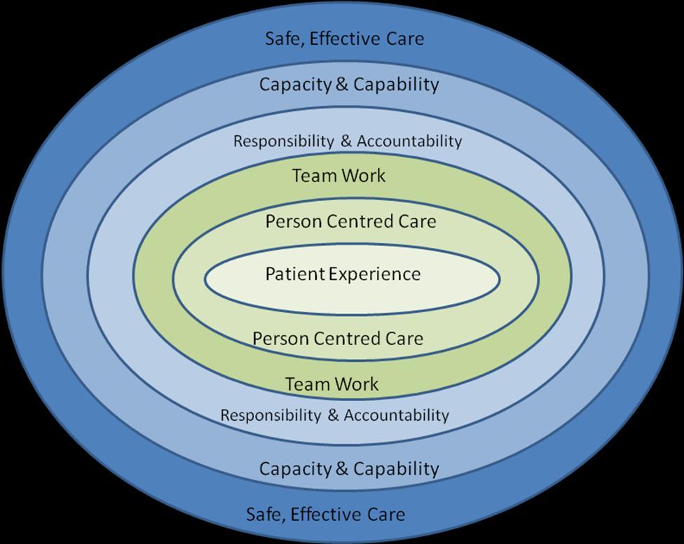 2 What is clinical and care governance?