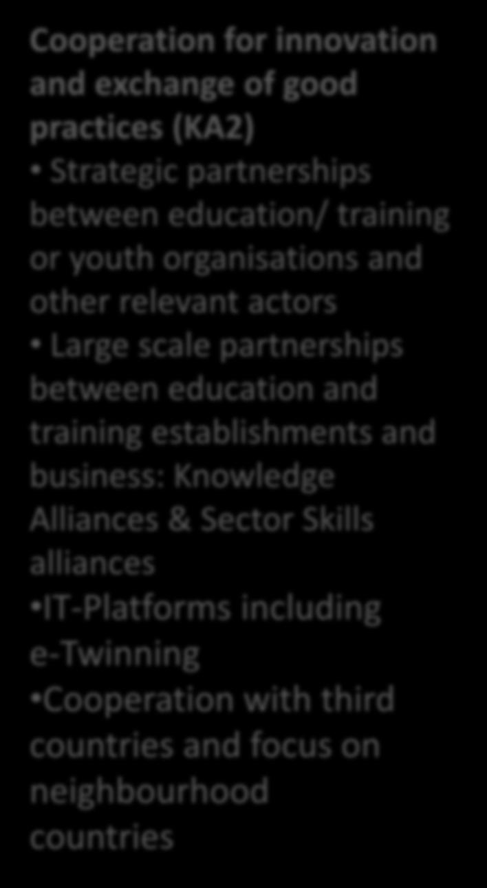 or youth organisations and other relevant actors Large scale partnerships between education and training establishments and