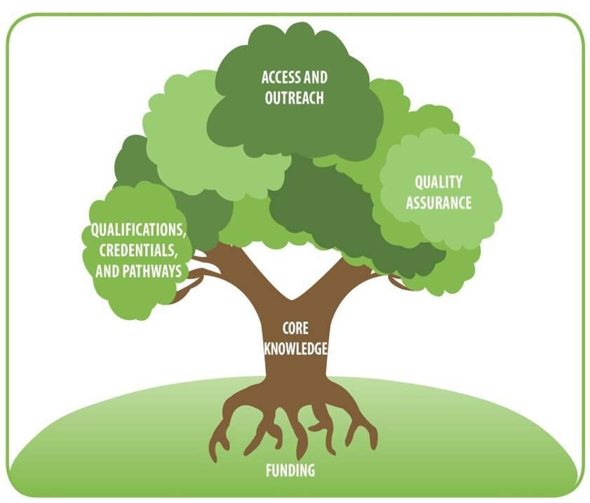 Like a tree, a professional development system is a dynamic arrangement of interdependent elements. The trunk of core knowledge provides the central foundation for the entire system.