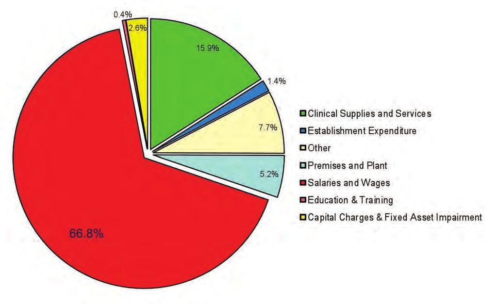 Wasa Heathcare NHS Trust Annua Report 2016/17 The chart beow shows a breakdown of the main categories of expenditure for 2016/17.