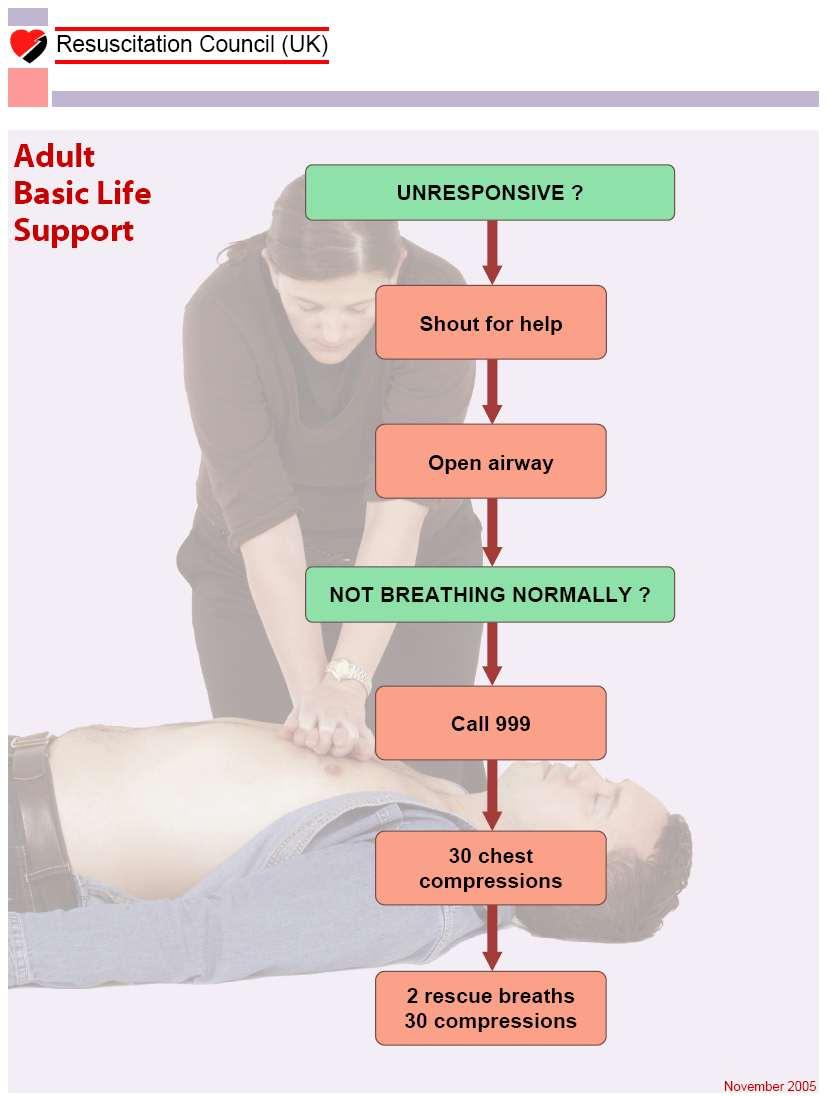 Appendix 2 ADULT BASIC LIFE SUPPORT Adapted from the