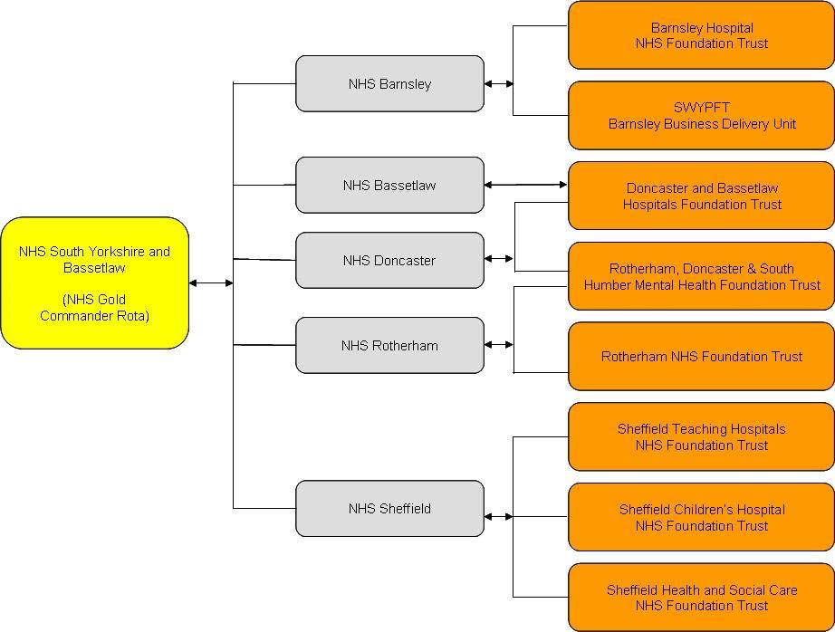 Fig.2: NHS South Yorkshire and Bassetlaw Command and Control structure Strategic (Gold)