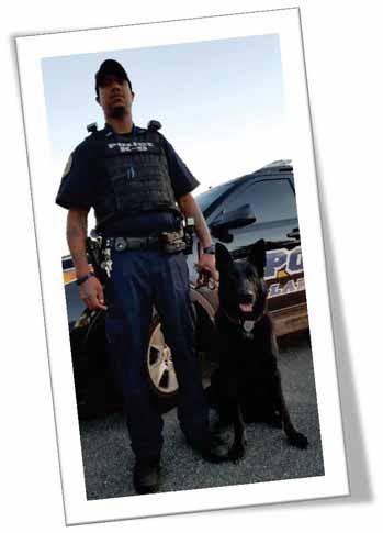 The K-9 unit consists of three highly trained and motivated police officers.