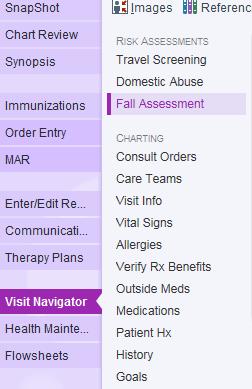 Click the Visit Navigator activity, and click Fall Assessment from the table of contents.