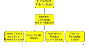 html Healthiest Wisconsin 2010: A Partnership Plan to Improve the Health of the Public Public Health Nurse Orientation Services to Prevent Chronic Diseases and Injuries Section III