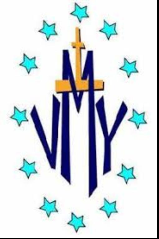Vincentian Youth Leadership Program Lead