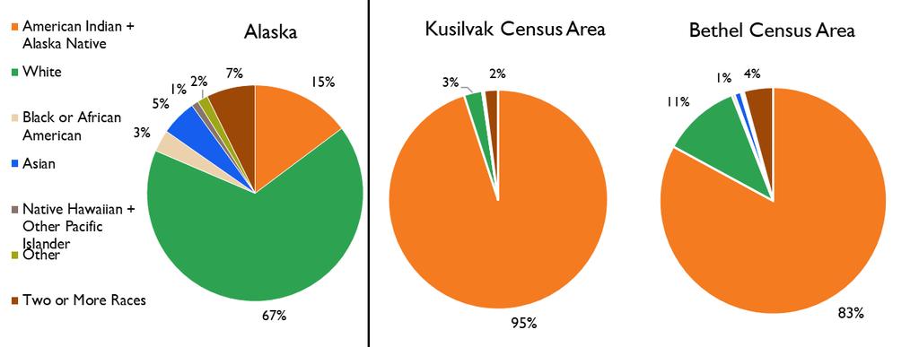 Race The Y-K region is predominantly Alaska Native, with 95 percent of Kusilvak Census Area and 83 percent of Bethel Census Area residents identifying as American Indian and Alaska Native in the 2010