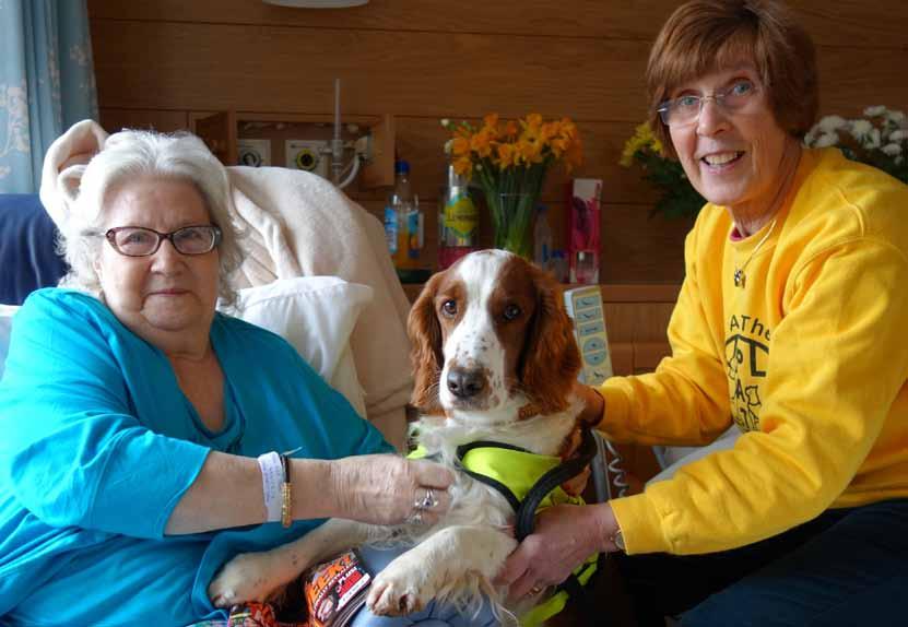 The In-patient Unit Pets are welcomed into the In-patient Unit. Here, a Pets As Therapy (PAT) dog and owner greet a patient.