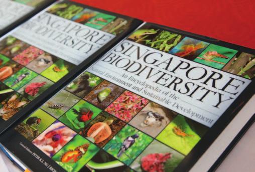 Unveiling Singapore s first biodiversity encyclopedia NUS researchers from the Department of Biological Sciences spearheaded a bold book project to consolidate almost 200 years of studies on