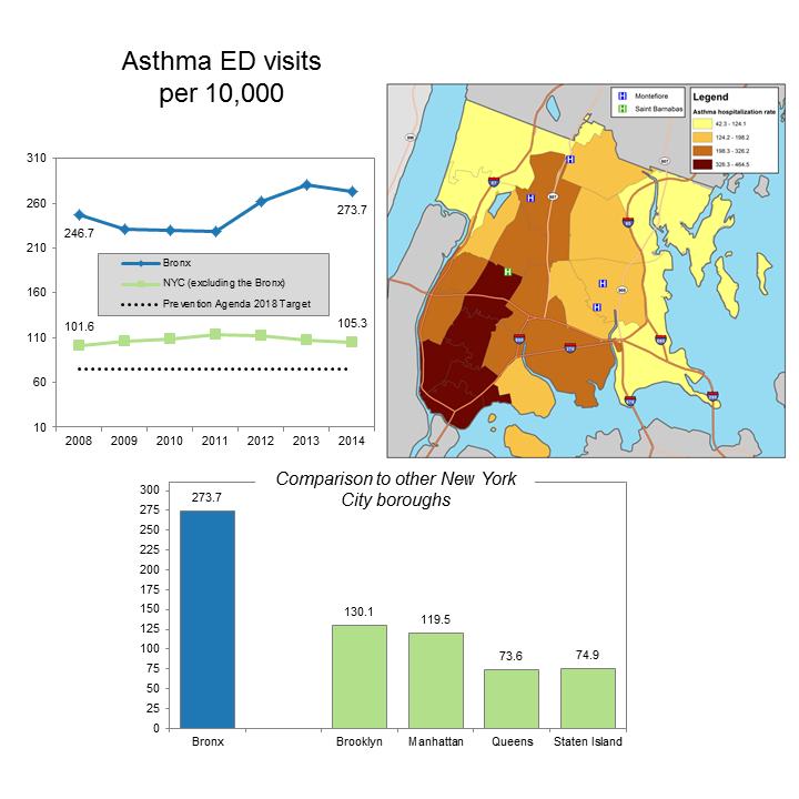 Figure 15. Asthma emergency department visits per 10,000 Data source: SPARCS Asthma ED visits in the Bronx were stable from 2008-2011, but increased thereafter. They remained more than 2.