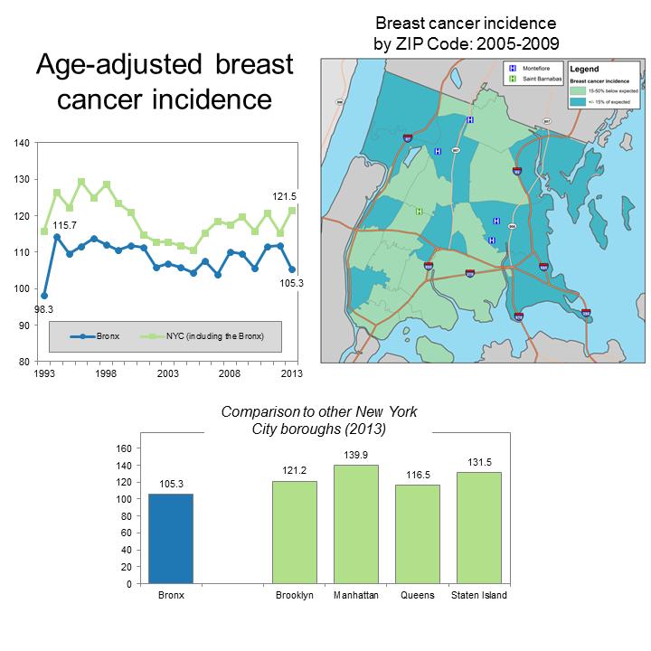 Figure 20. Age- adjusted breast cancer incidence, among women only Data source: New York State Cancer Registry Breast cancer incidence declined through the 1990s, but remained stable thereafter.
