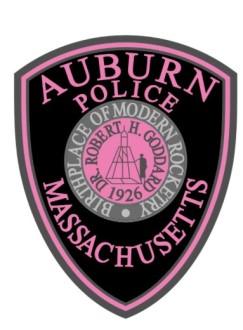 PUBLIC SAFETY NEWS The Pink Patch Project The Pink Patch Project is an innovative public awareness campaign designed to bring attention to the fight against breast cancer and to support cancer