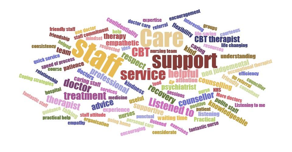 Figure 59: Word Cloud courtesy by the Trust Patient Experience Annual report 216/17 Patient Opinion Stories posted on patient opinion have increased from previous year.