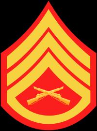 Delta Company Commanding Officer c/lt Louis Zhang NAVY & MARINE CORPS RATES AND RANKS ENLISTED RATES NAVY RATE NAVY INSIGNIA MARINE RATE MARINE INSIGNIA PAY GRADE Seaman