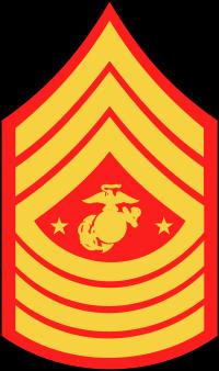 Master Chief Petty Officer of the Navy (MCPON) Sergeant Major of the Marine Corps (SgtMajMC) E 9 OFFICER RANKS NAVY RANK NAVY INSIGNIA MARINE RANK