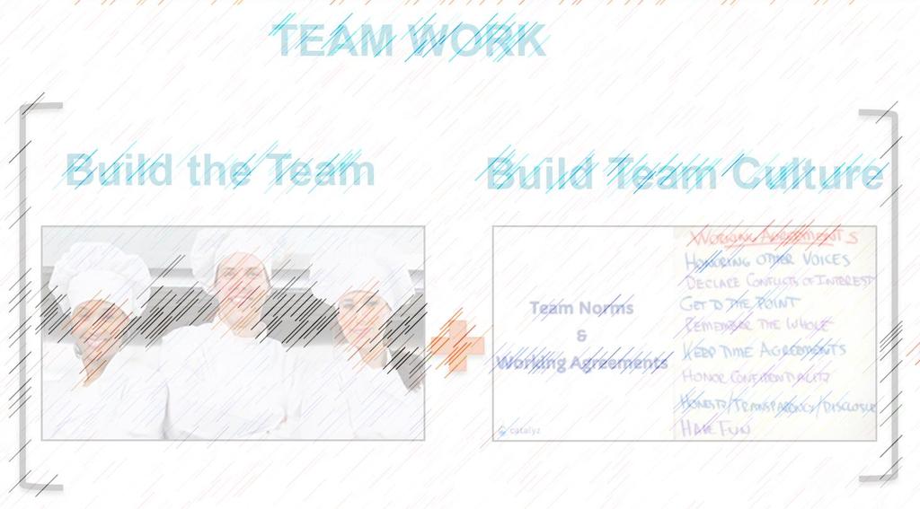 High Performing Primary Care Teams TEAM WORK TASK WORK Build the Team
