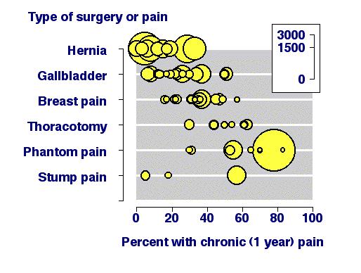 Chronic Postsurgical Pain FM Perkins et al.
