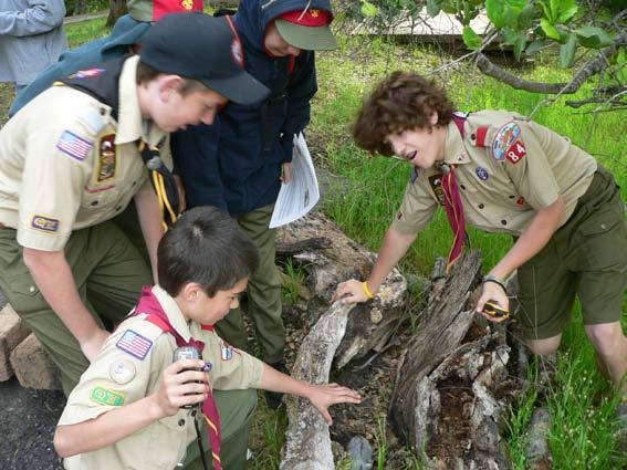 GeoScouting : Geocaching for the Boy Scout Program Look well, and even