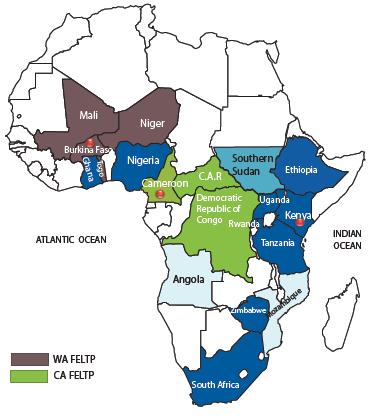 AFENET s Footprint 2016 Operations in 30 African countries including; Anglophone, Francophone and Lusophone countries FE(L)TPs in Africa 1.
