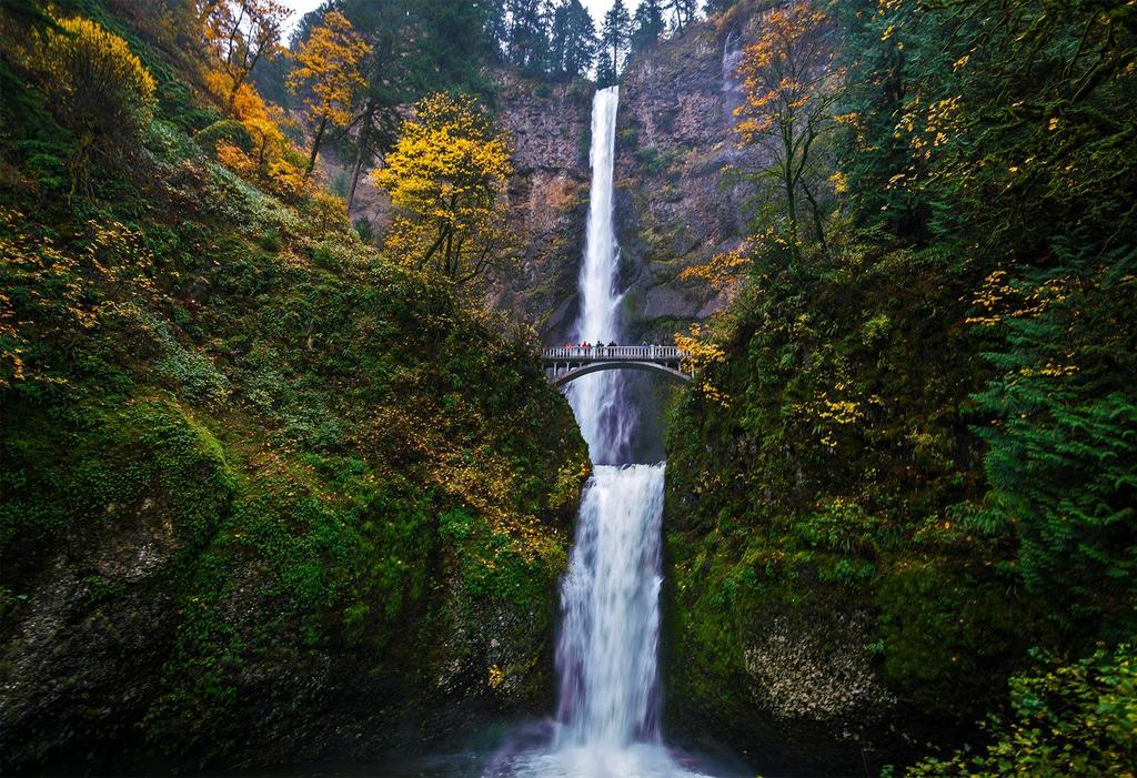Bus Tour to Multnomah Falls: Wed 1:30-6:00pm Scenic ride at Historic Columbia River Highway Women s Forum