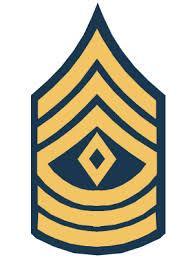 UNDERSTANDING ROLES THROUGH CATEGORY Rank is illustrated through three categories: 1. Enlisted personnel, denoted by grade E 2. Warrant Officers, denoted by grade W 3.