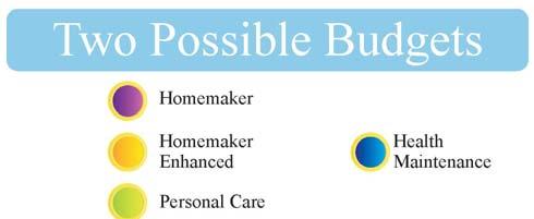 CDASS in the HCBS-SLS waiver CDASS: Services Allowable Within the Support Plan Authorization Limit (SPAL) Personal Care Services Homemaker Services Enhanced Homemaker Services CDASS: Service