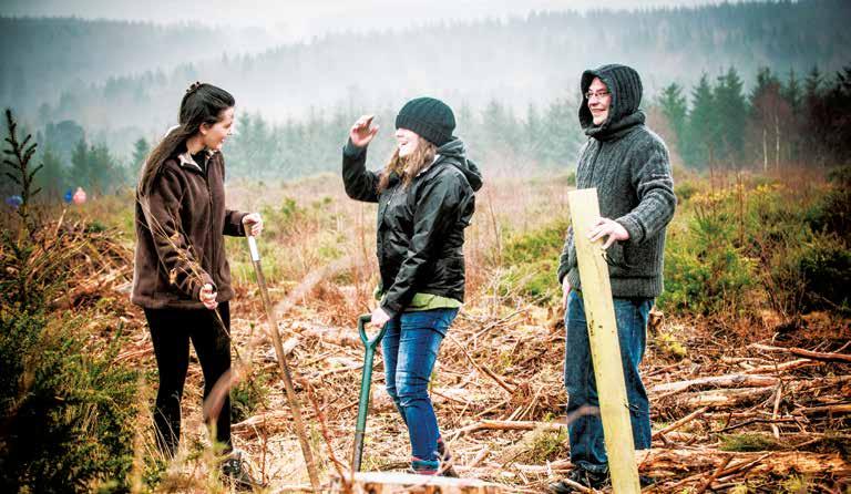 Volunteers lending a hand in the Maryculter Woodlands, Aberdeenshire Application process We use a two stage application process.