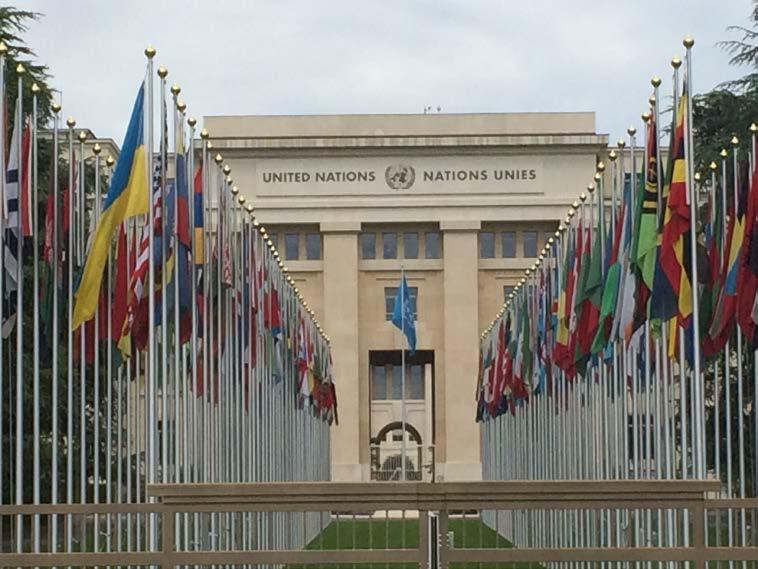 WORLD HEALTH ASSEMBLY RESOLUTIONS WHA 56.24: Strengthen trauma and care services WHA 57.