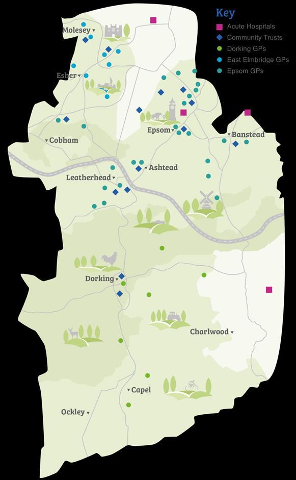Figure 1 below, shows Surrey Downs Map showing the wards, acute hospitals, GP practices, and community hospitals Figure 1.