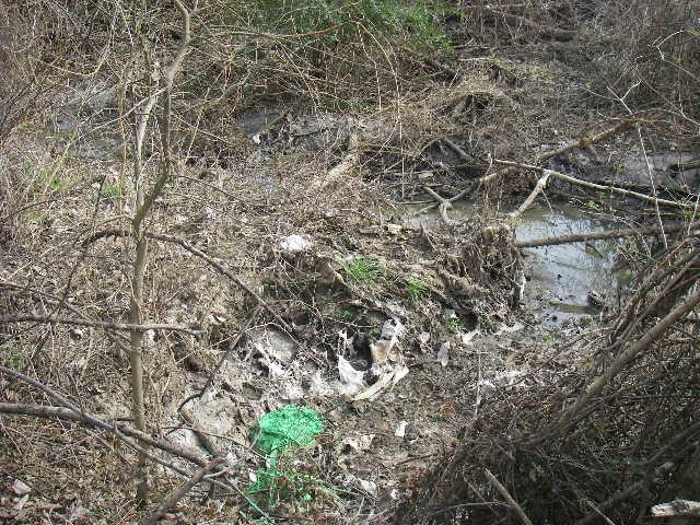 which had been impacted by the sewer overflow on March 1, 2009 Photographer: Witness: Photo # 2 Of 4 Date: 03-03-09 Time: