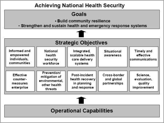 10 National Health Security Strategy NHSS is the first comprehensive strategy focusing specifically on