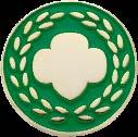 Honor Pin Nomination Form The Honor Pin recognizes an individual s exemplary service in support of delivering the Girl Scout Leadership Experience, which has had measurable impact on two or more