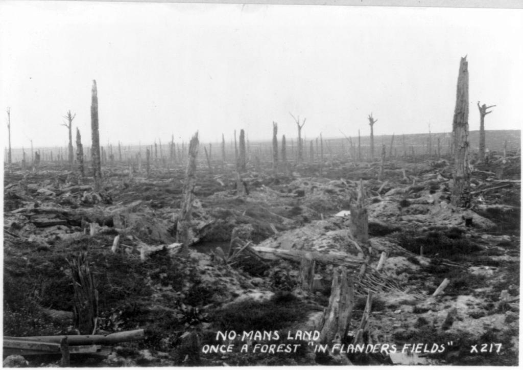 July 28, 1918 Figure 2. The hand-written caption on this photograph says that it is No Man s Land once a a forest in Flander s Fields.