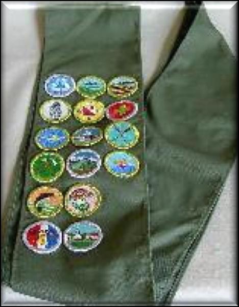 BSA - Merit Badge Choices (You name it... they ve got it!