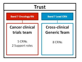 Research Nurse workforce structures Importance of Lead CRN role Study highlighted the key role that the Lead CRN has in