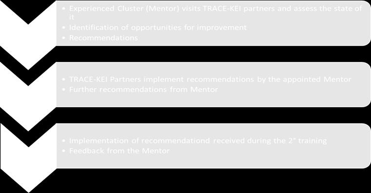 Finally, the mentor will evaluate the individual reports and provide partners with final feedbacks.