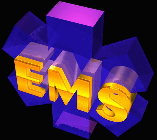 Within regions, EMS governance is delegated to What is