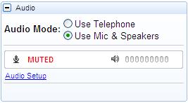 2 Managing your audio Use Telephone If you select the use telephone option