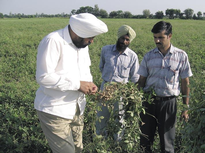 Institutional grants : Rural Livelihoods & Communities livelihood promotion in Uttarakhand.